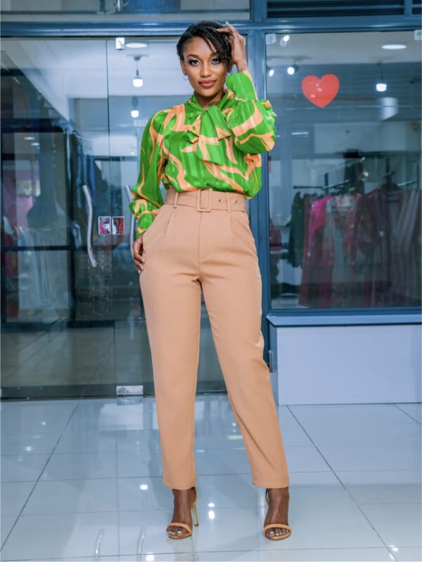 Brown formal Pants - P14 - L